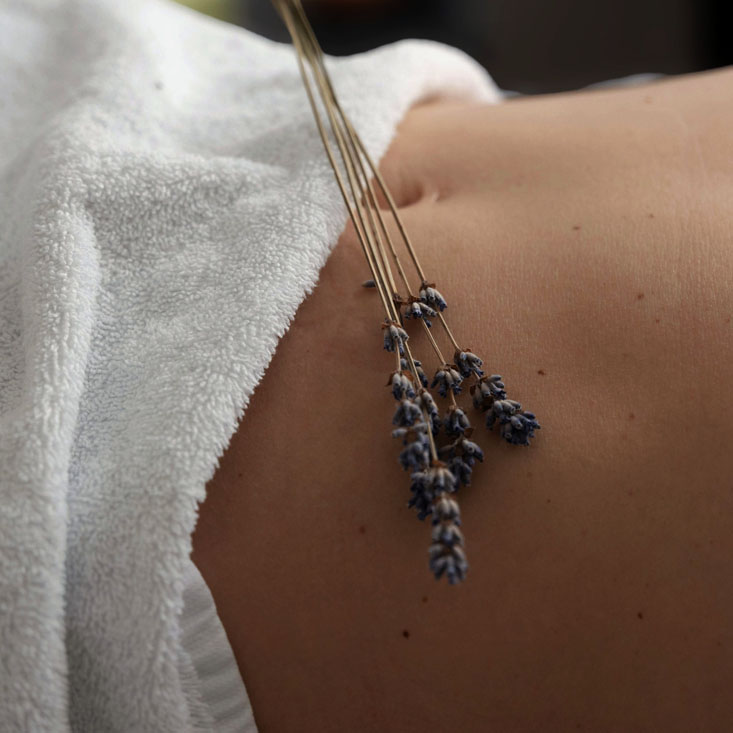 Ein gesunder Darm ist eine wichtige Grundlage für unser Immunsystem und unser Wohlbefinden. Fördern Sie Ihr Darmgleichgewicht.